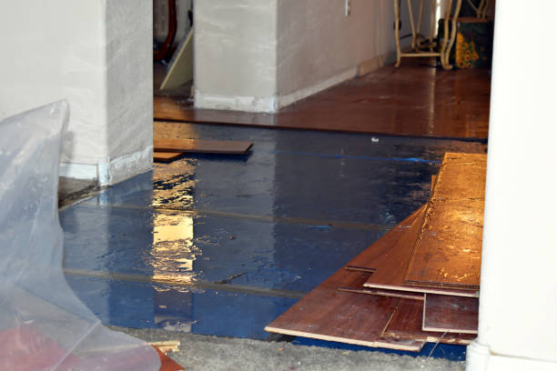 Professional Burst Pipe Cleanup technician working in Westport, CT